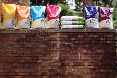 Seed Display