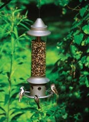 Squirrel proof bird feeder reviews