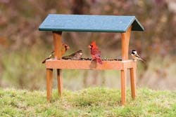 EcoTough Covered Ground Feeder