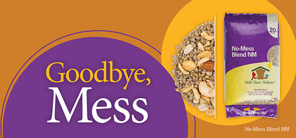 No-Mess Seed Blends