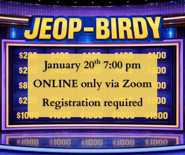 Jeop-Birdy online bird trivia event