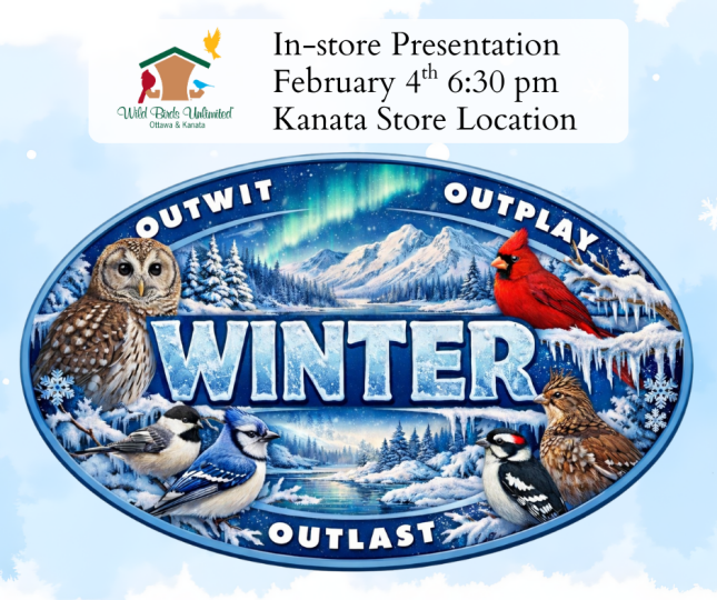 In-store presentation: Outwit, Outlast, Outplay Winter &mdash; February 4th at 6:30 pm