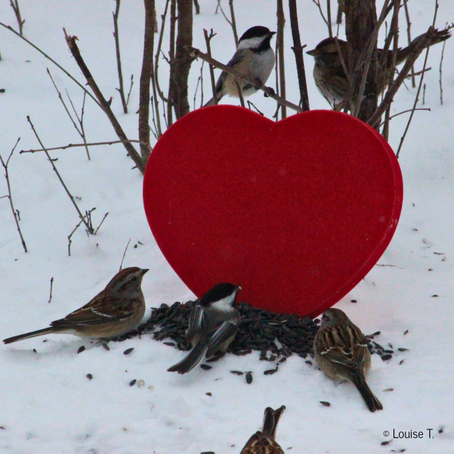 Past winner photo highlight 1