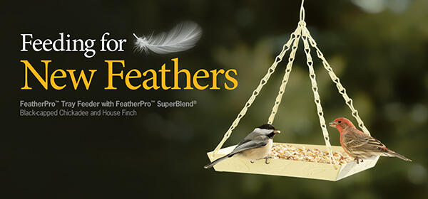 FeatherPro SuperBlend