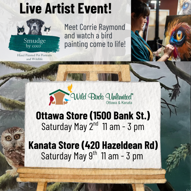 Live Artist Event with Corrie Raymond