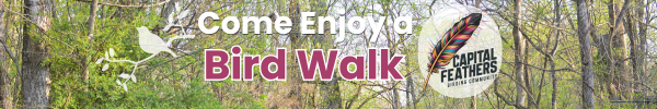 May Bird Walks