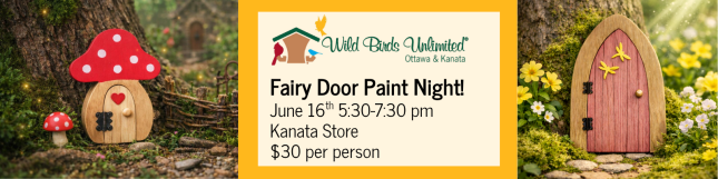 Fairy Door Paint Night