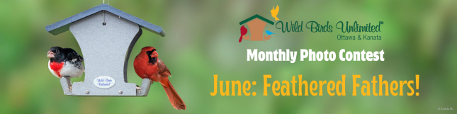 June Feathered Fathers Photo Contest