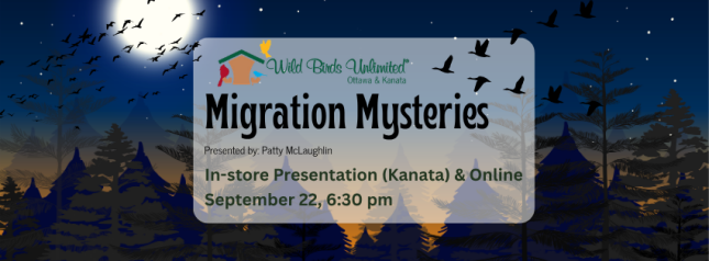 Migration Mysteries with Patty McLaughlin