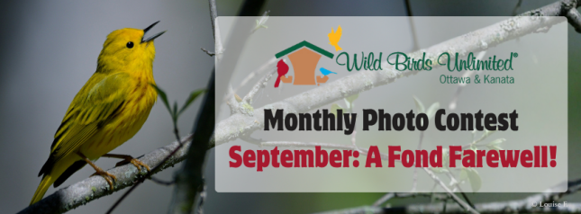September A Fond Farewell Photo Contest