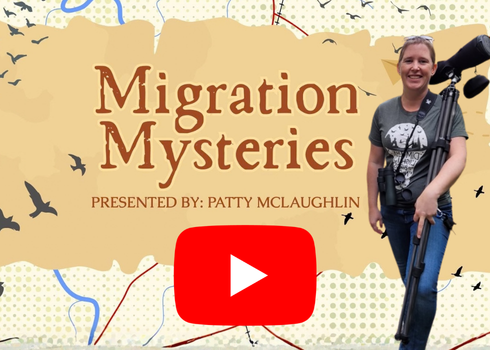 Watch Migration Mysteries with Patty McLaughlin
