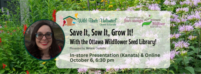 Save It! Sow It! Grow It! with the Ottawa Wildflower Seed Library