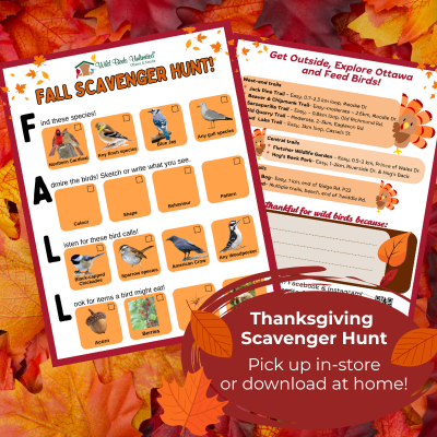 Fall Birding Scavenger Hunt
