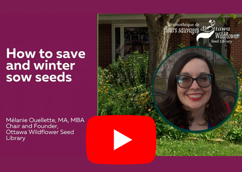 Watch Save It! Sow It! Grow It! with M&eacute;lanie Ouellette