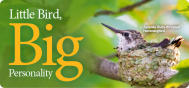 Wild Birds Unlimited - Nature Shop